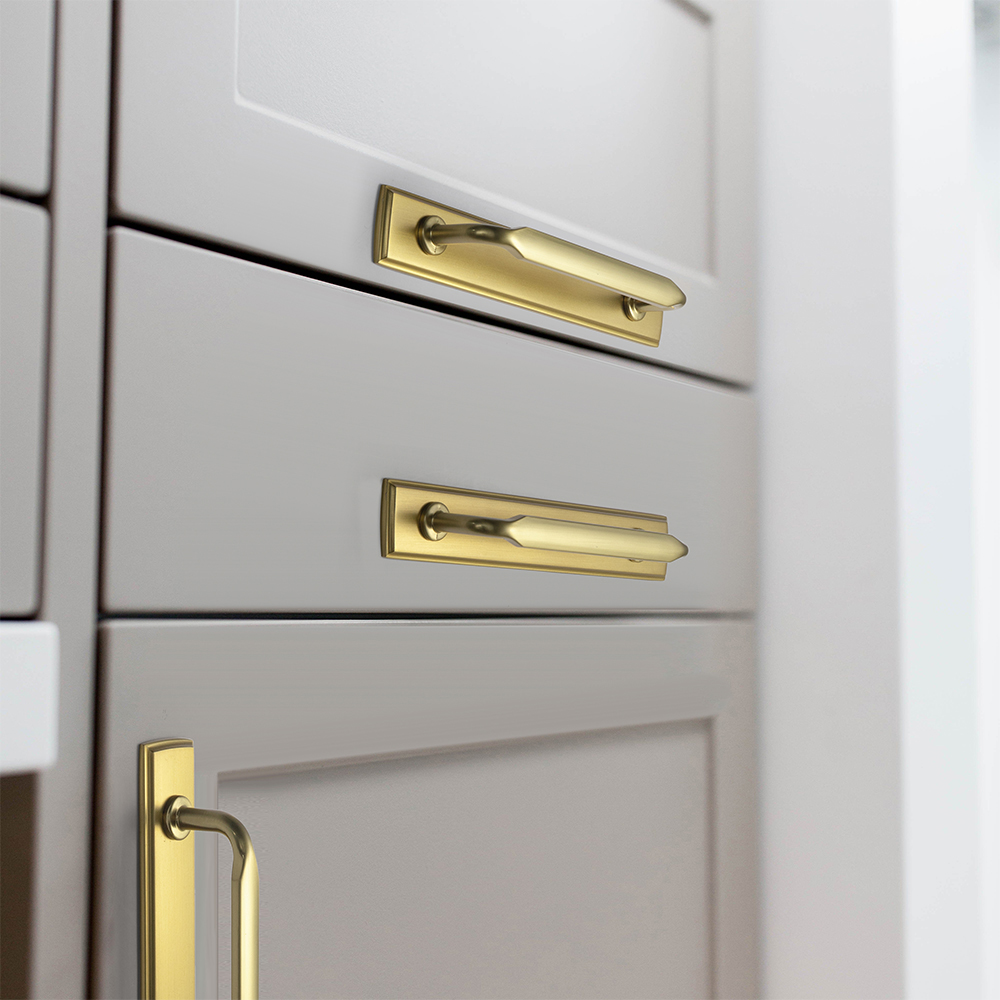 Goo-Ki Brushed Gold Zinc Alloy - Furniture Hardware With Backplate avis et prix